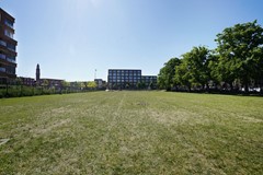 DSC02412-Edit.jpg