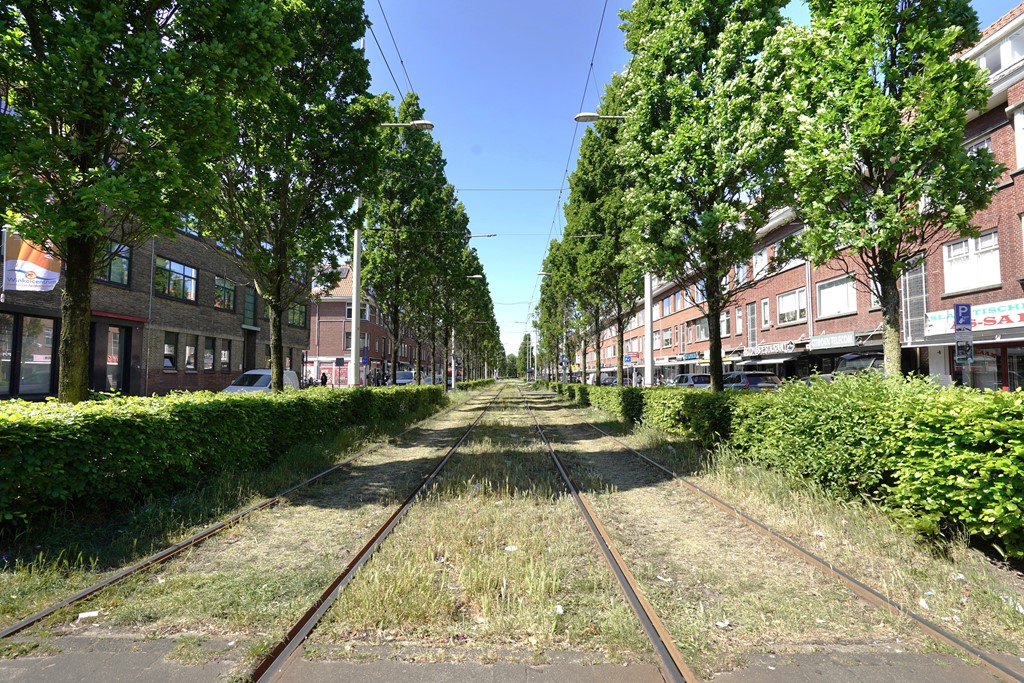 DSC02404-Edit.jpg DSC02404-Edit.jpg