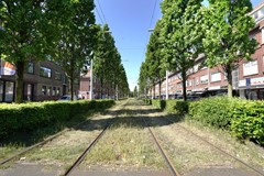 DSC02404-Edit.jpg