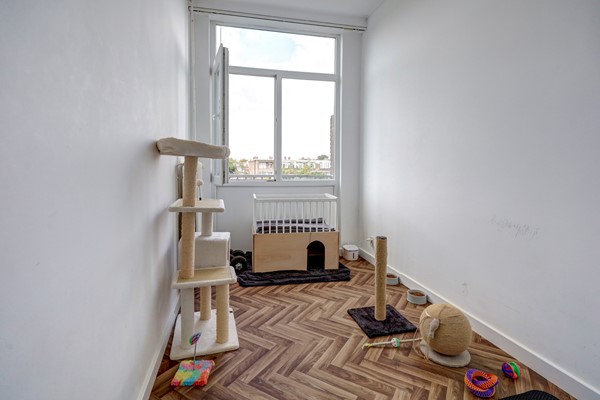 Medium property photo - Harderwijkstraat 7, 2573 ZA Den Haag