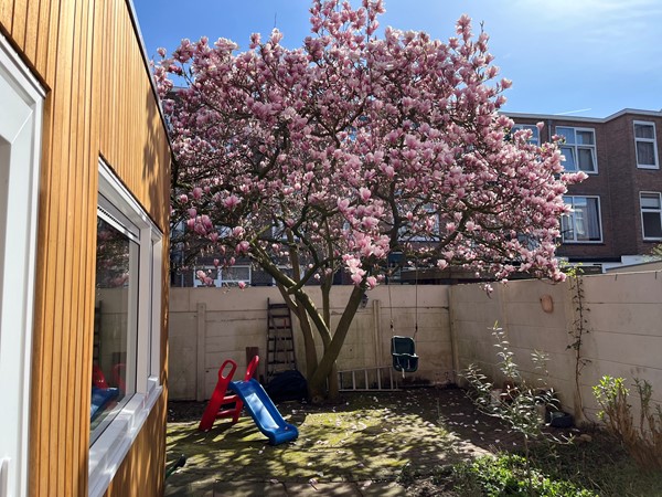 Medium property photo - Rhododendronstraat 60, 2563 TB Den Haag