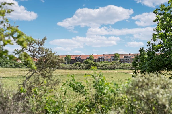 Medium property photo - Zwolsestraat 219, 2587 VC Den Haag