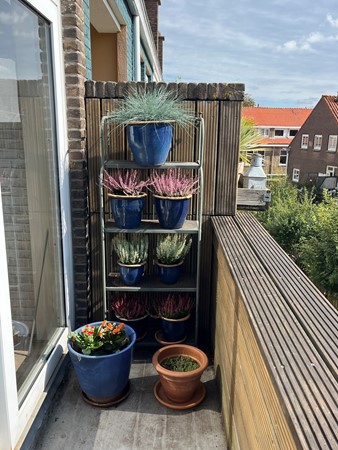 Medium property photo - Zwolsestraat 219, 2587 VC Den Haag