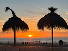 IMG_6622.jpg