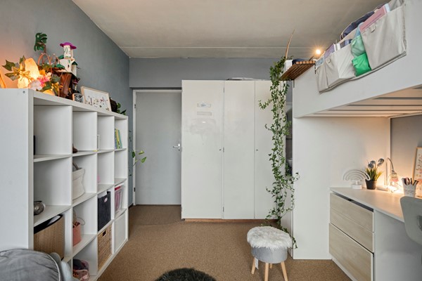 Medium property photo - Sirtemastraat 310, 2513 SX Den Haag