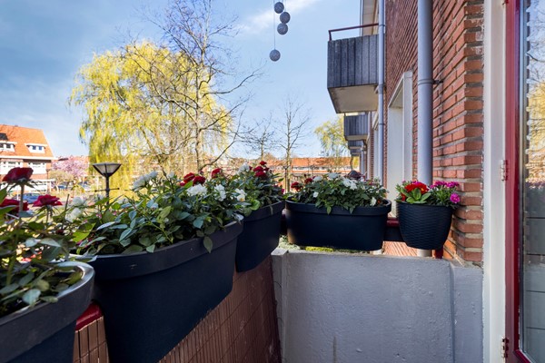 Medium property photo - Frans Halskade 33, 2282 TS Rijswijk