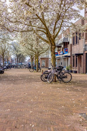 Medium property photo - Pijnboomstraat 9, 2565 ZH Den Haag