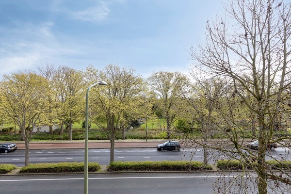 Medium property photo - Vreeswijkstraat 247, 2546 AH Den Haag