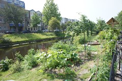 DSC01038.JPG