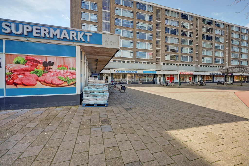 04_S_GRAVENHAGE_2542_JM_Beresteinlaan_475.jpg