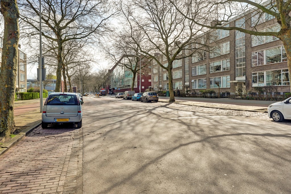 02_S_GRAVENHAGE_2542_JM_Beresteinlaan_475.jpg