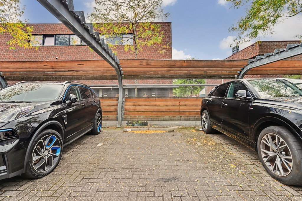 38_S_GRAVENHAGE_2525_WZ_Niek_Engelschmanpark_56.jpg