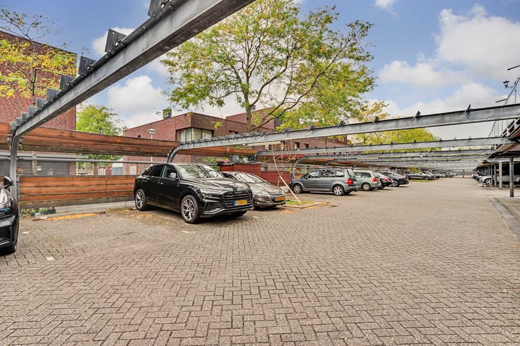 39_S_GRAVENHAGE_2525_WZ_Niek_Engelschmanpark_56.jpg