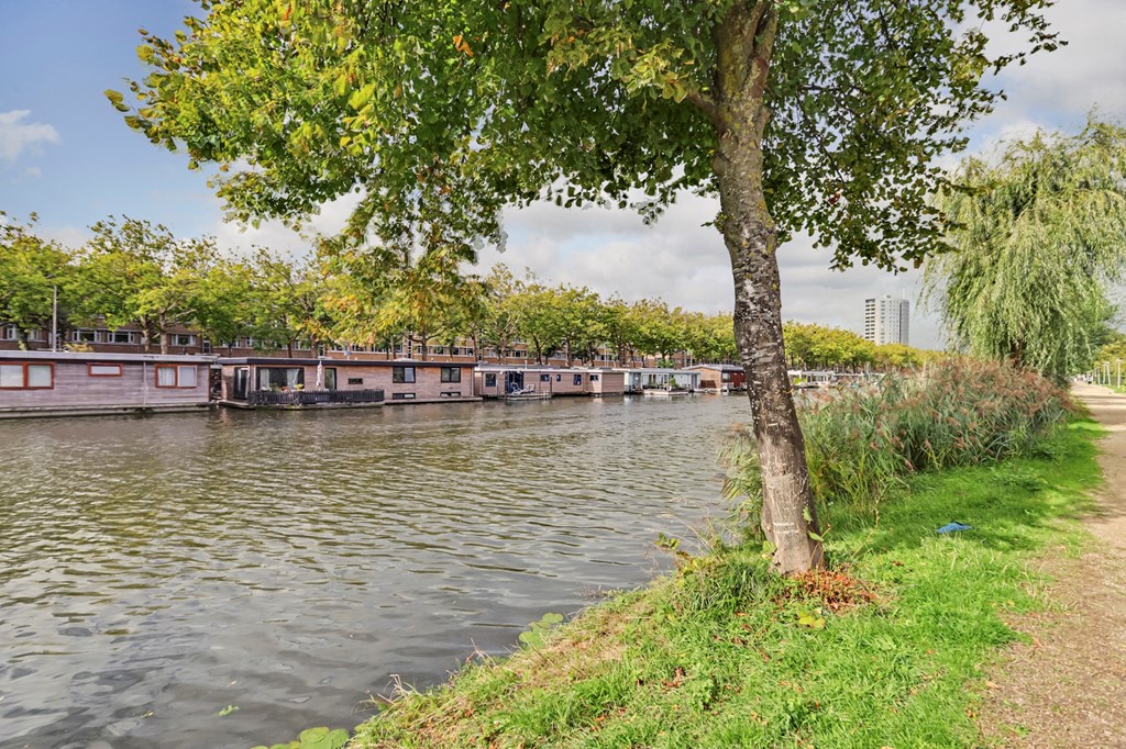 40_S_GRAVENHAGE_2525_WZ_Niek_Engelschmanpark_56.jpg