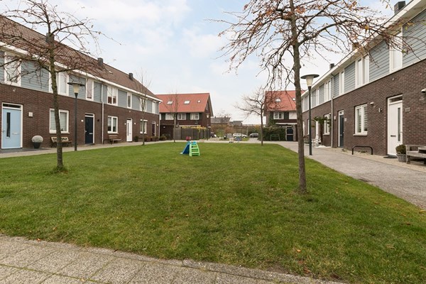 Shetland 190, Zoetermeer