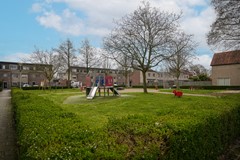 Foto 36.jpg