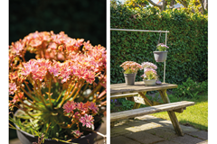 Foto 18.png
