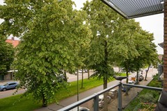 Foto 16.jpg