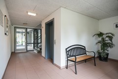 Foto 33.jpg