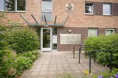 Foto 34.jpg