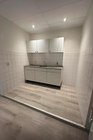 Rented: Rijnstraat 8A, 2311NJ Leiden