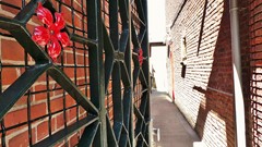 New for rent: Langstraat 5A, 2242 KJ Wassenaar