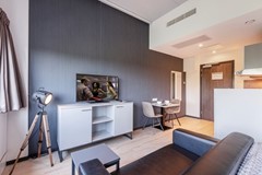 For rent: Vleutensevaart 100, 3532 AD Utrecht