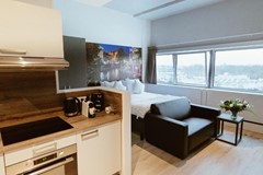 For rent: Vleutensevaart 100, 3532 AD Utrecht