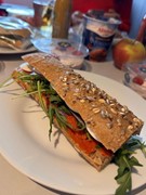 For rent: Vleutensevaart 100, 3532 AD Utrecht