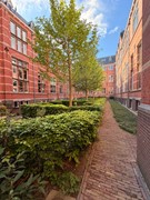 Binnenplaats beneden - Hugo de grootstraat 67.jpg