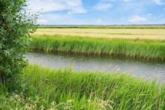 Zonnedauw 6, 1911 PT Uitgeest - KJ-130.jpg