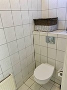 IMG_2710.jpeg