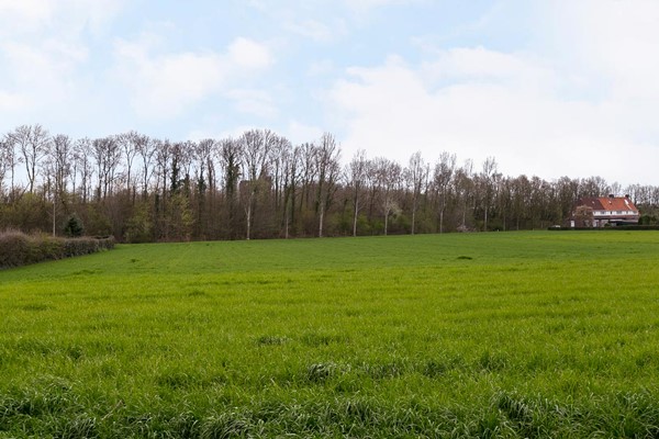 Medium property photo - Barbarahof 20a, 6121 KP Born