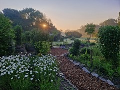 20260509_065528.jpg