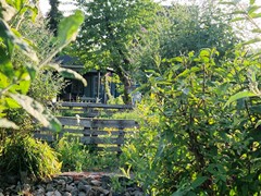 20250619_195344.jpg