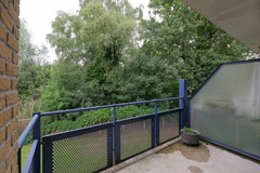 18DSCF9069.jpg