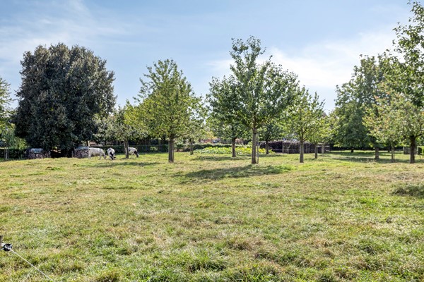 Medium property photo - De Laathof 1, 6265 BJ Sint Geertruid