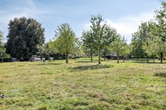 DeLaathof16265BJSintGeertruid-63.jpg