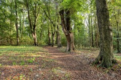 Parklaan1376131KESittard-55.jpg