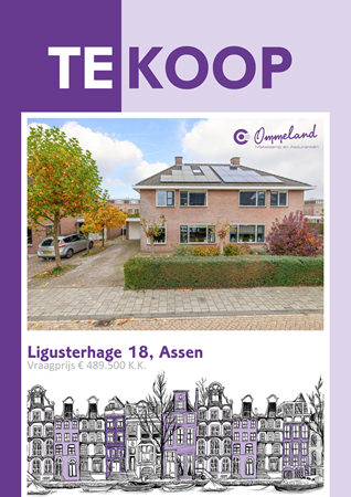 Brochure preview - Ligusterhage 18, 9408 EK ASSEN (2)