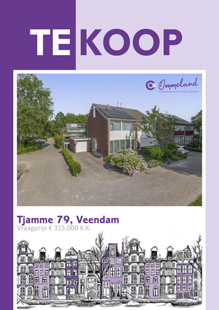 Brochure preview - Tjamme 79, 9642 JT VEENDAM (1)