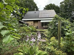 IMG_7919.jpg