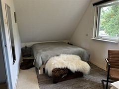 IMG_7957.jpg