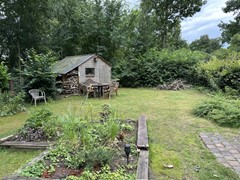 IMG_7917.jpg