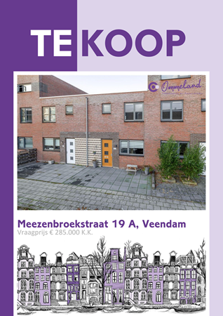 Brochure preview - Meezenbroekstraat 19-A, 9645 PA VEENDAM (1)