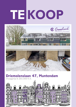 Brochure preview - Driemolenslaan 47, 9649 ER MUNTENDAM (2)