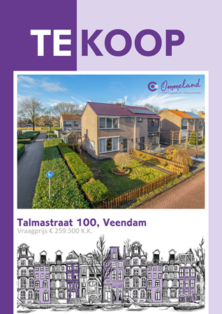 Brochure preview - Talmastraat 100, 9645 GH VEENDAM (2)