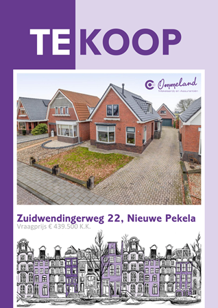 Brochure preview - Zuidwendingerweg 22, 9663 AJ NIEUWE PEKELA (2)