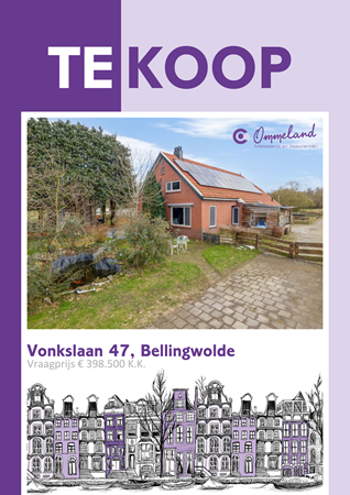 Brochure preview - Vonkslaan 47, 9695 BP BELLINGWOLDE (1)