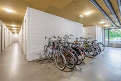 FH (43).jpg